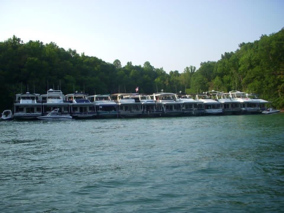 Houseboats gathered along a wooded lakeshore